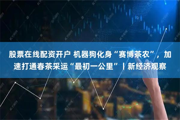 股票在线配资开户 机器狗化身“赛博茶农”,加速打通春茶采运“最初一公里”丨新经济观察